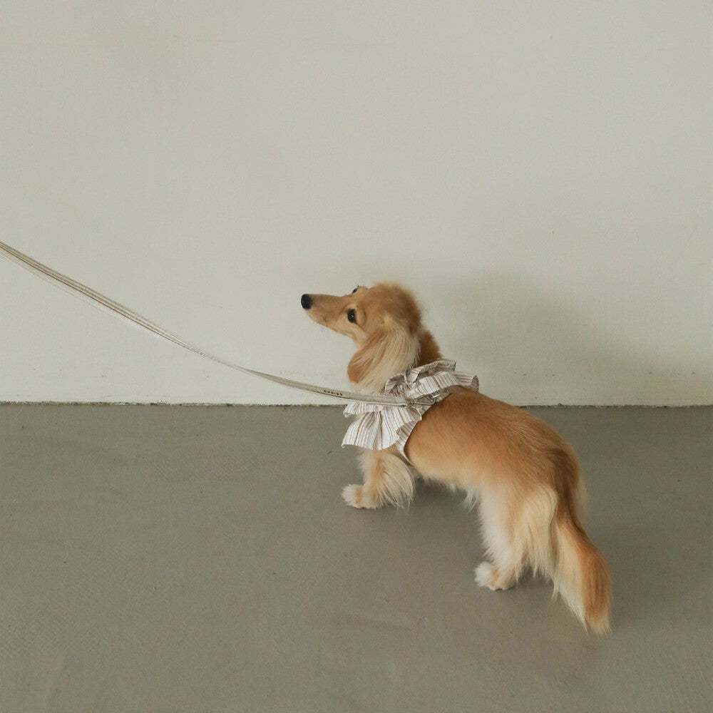 【予約】capeness no.6 leash