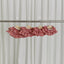 【予約】capeness no.8