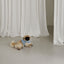 【予約】capeness no.9