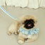 【予約】capeness no.9 leash