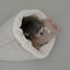 【予約】Snuggle Basket｜犬用キャリーバッグ