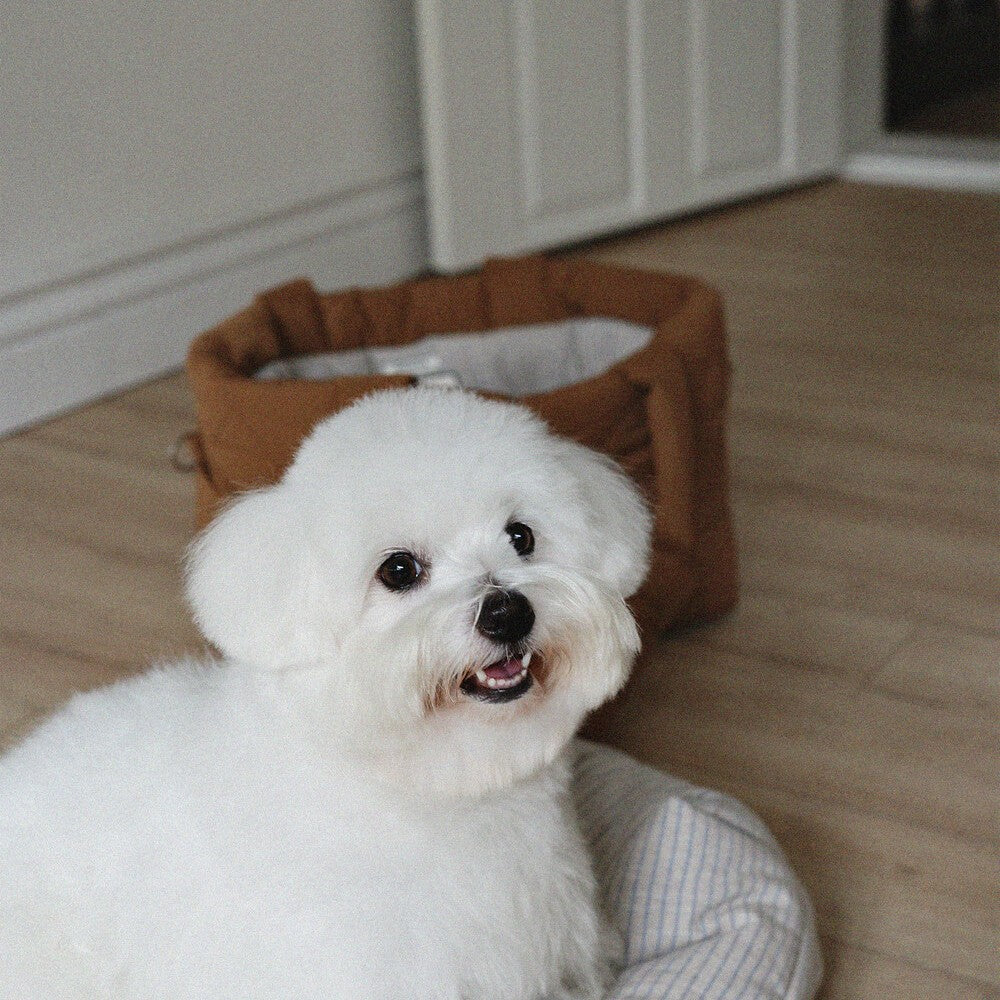 【予約】Snuggle Basket｜犬用キャリーバッグ