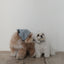 【予約】Tiny Love Scarf