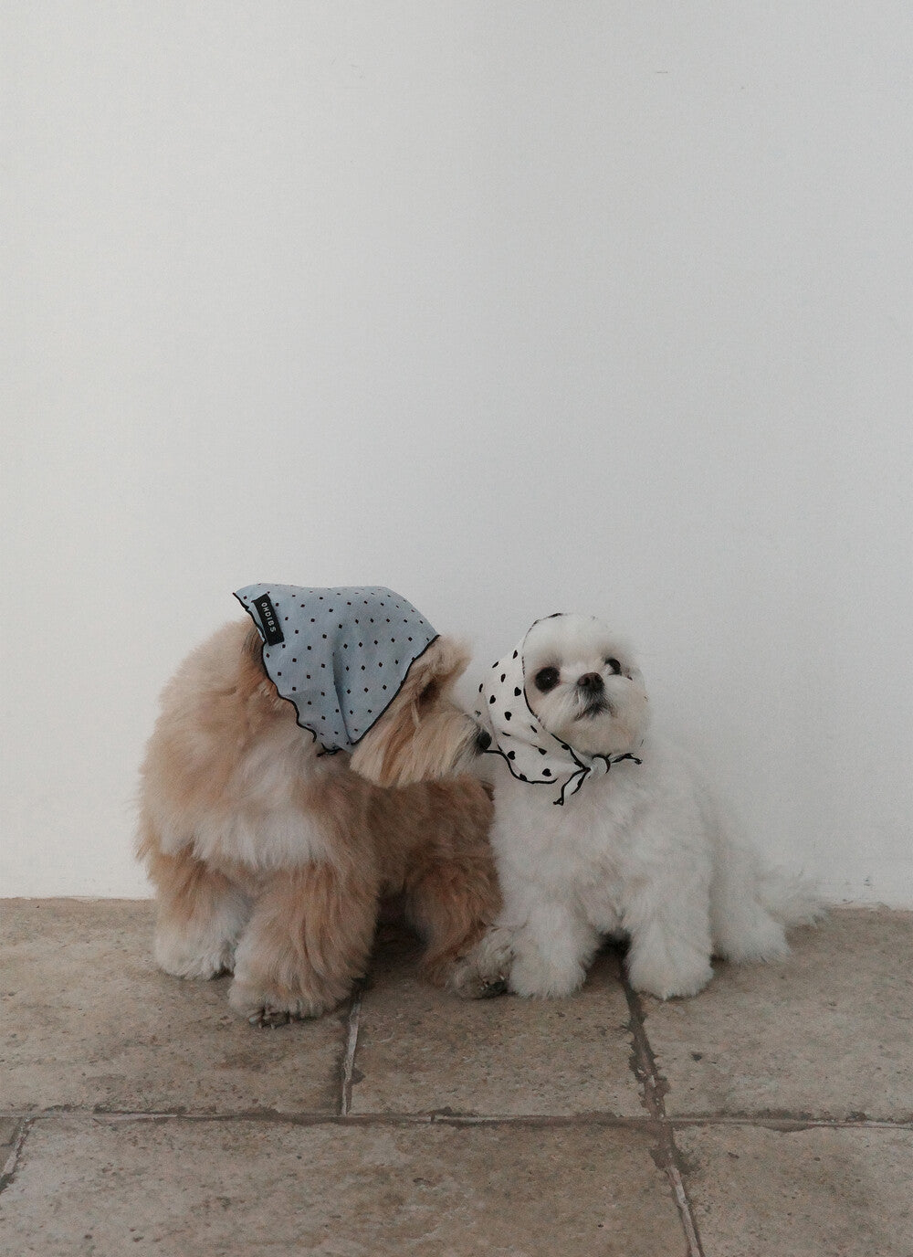 【予約】Tiny Love Scarf