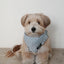 【予約】Tiny Love Scarf