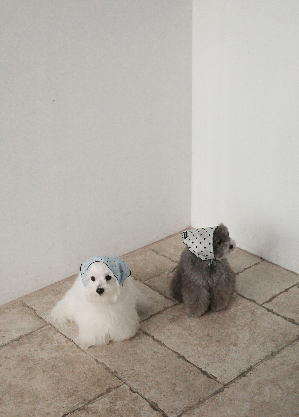 【予約】Tiny Love Scarf