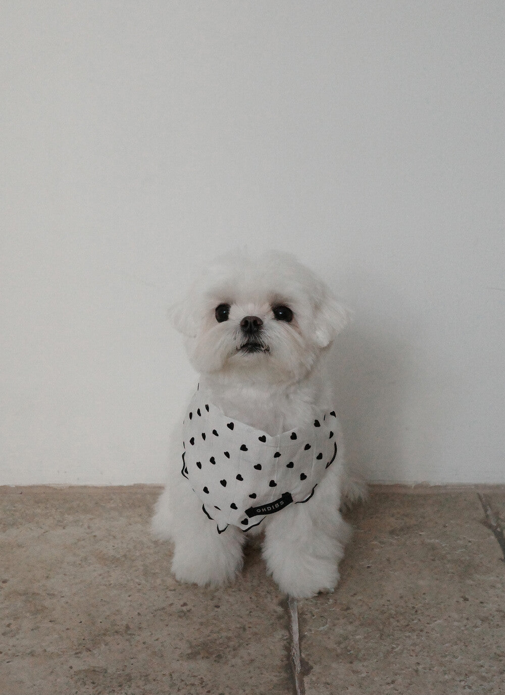 【予約】Tiny Love Scarf