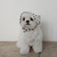 【予約】Tiny Love Scarf