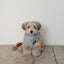 【予約】Tiny Love Scarf