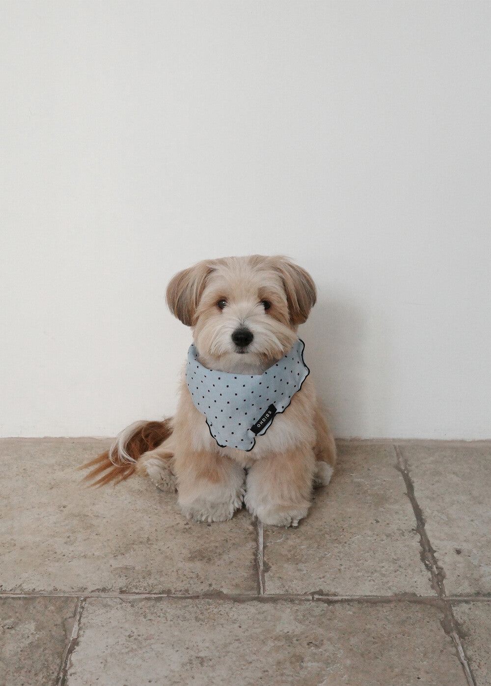 【予約】Tiny Love Scarf