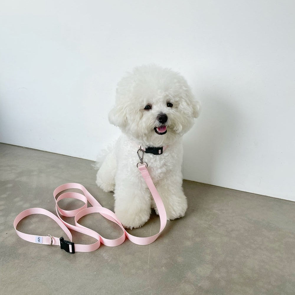 【一部即納】Basic color collar & handsfree leash