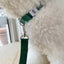 【一部即納】Basic color collar & handsfree leash