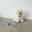 【一部即納】Basic color collar & handsfree leash