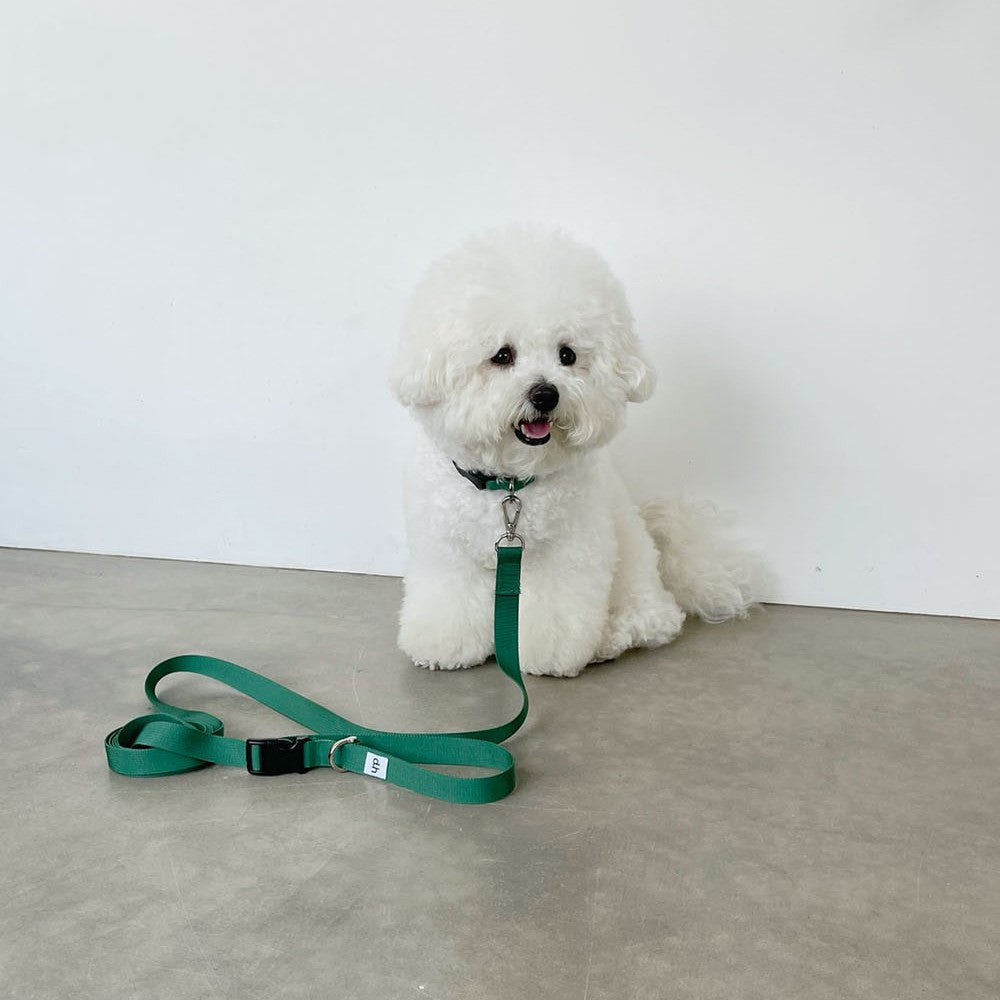 【一部即納】Basic color collar & handsfree leash