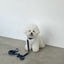 【一部即納】Basic color collar & handsfree leash