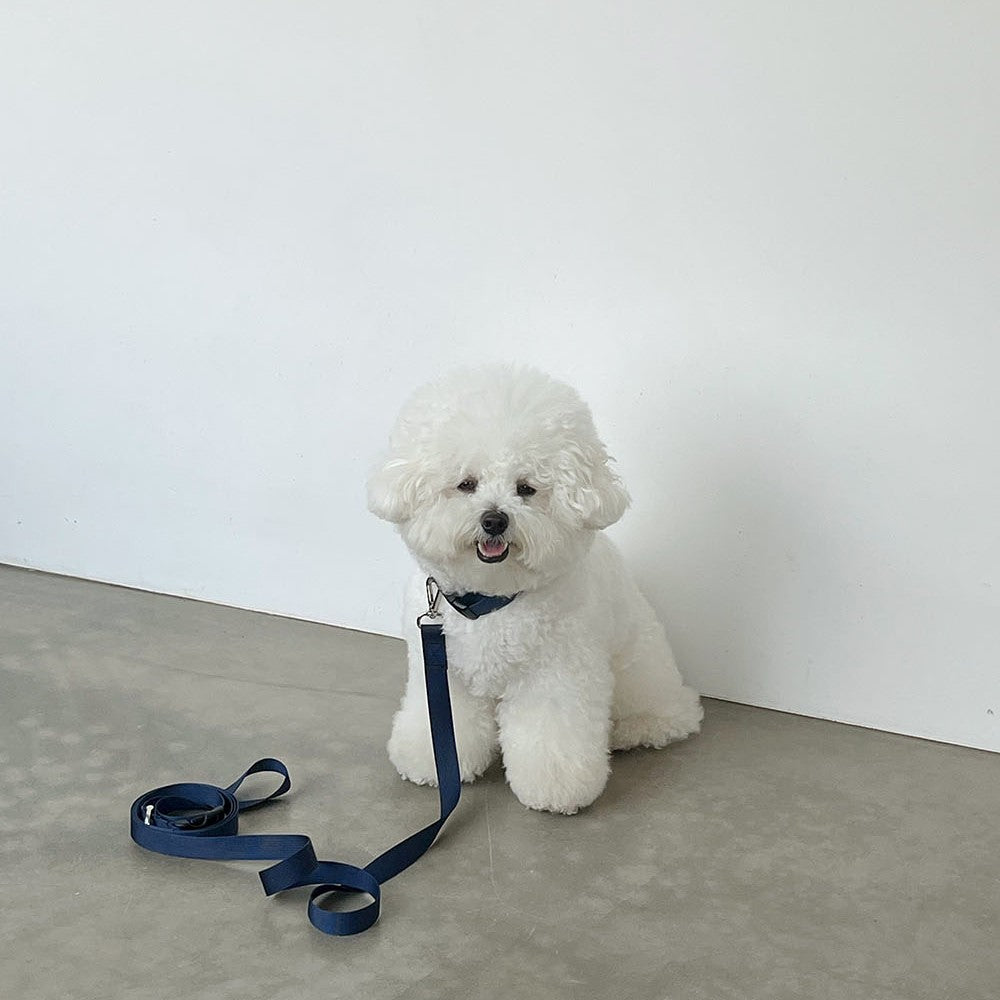 【一部即納】Basic color collar & handsfree leash