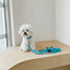 【一部即納】Basic color collar & handsfree leash
