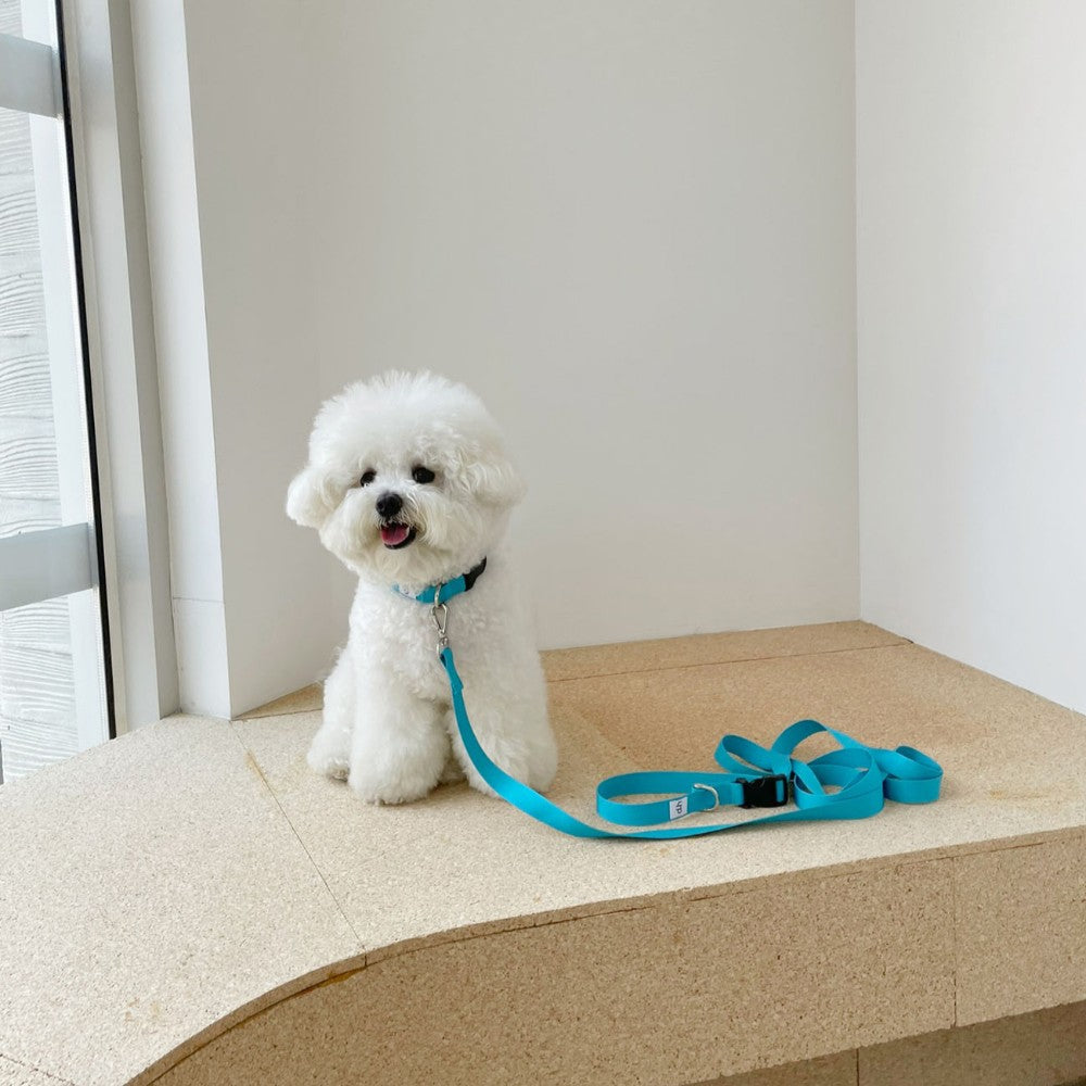 【一部即納】Basic color collar & handsfree leash