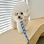 【予約】jelly bear collar
