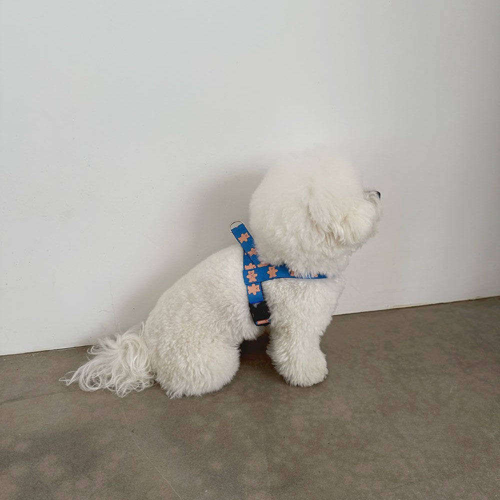 【予約】jelly bear harness