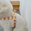 【予約】jelly bear harness