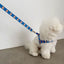 【予約】jelly bear harness