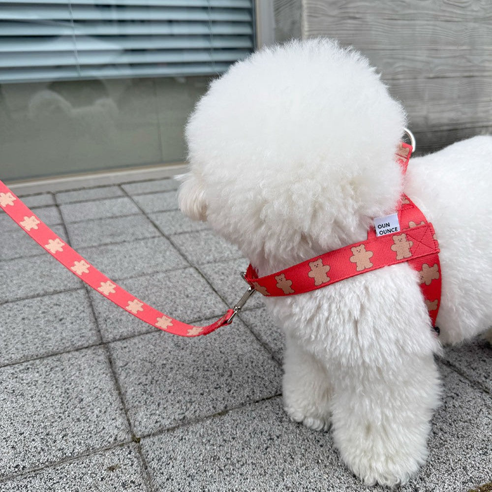 【予約】jelly bear harness