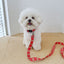 【予約】jelly bear collar