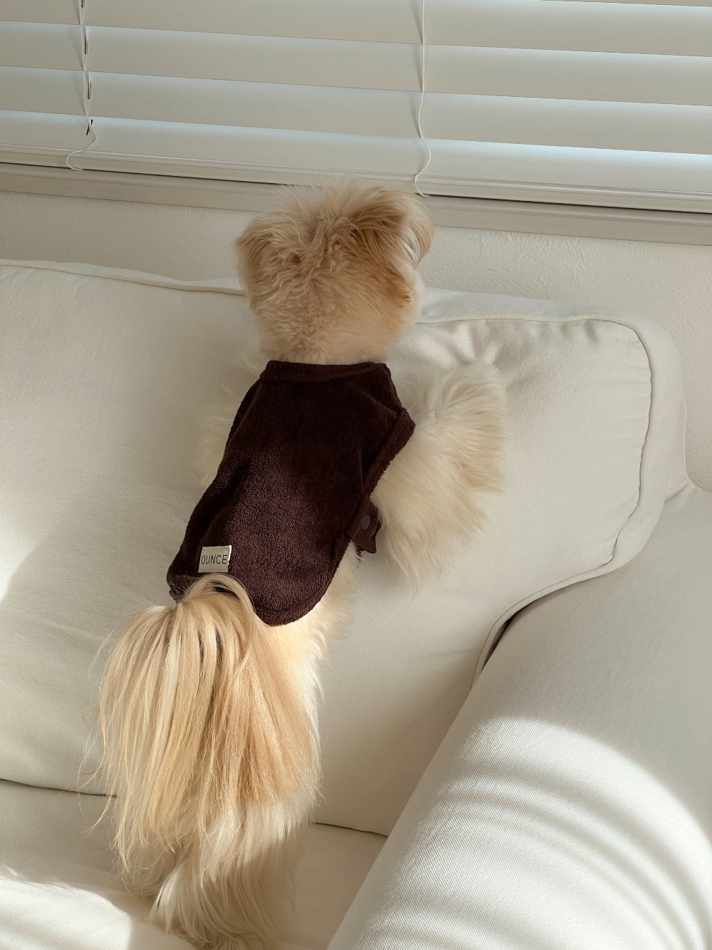 【予約】Terry bear vest & hat
