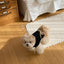 【予約】Terry bear vest & hat