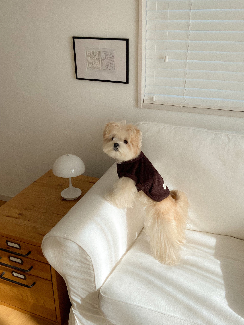 【予約】Terry bear vest & hat