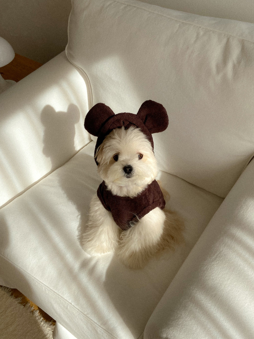 【予約】Terry bear vest & hat