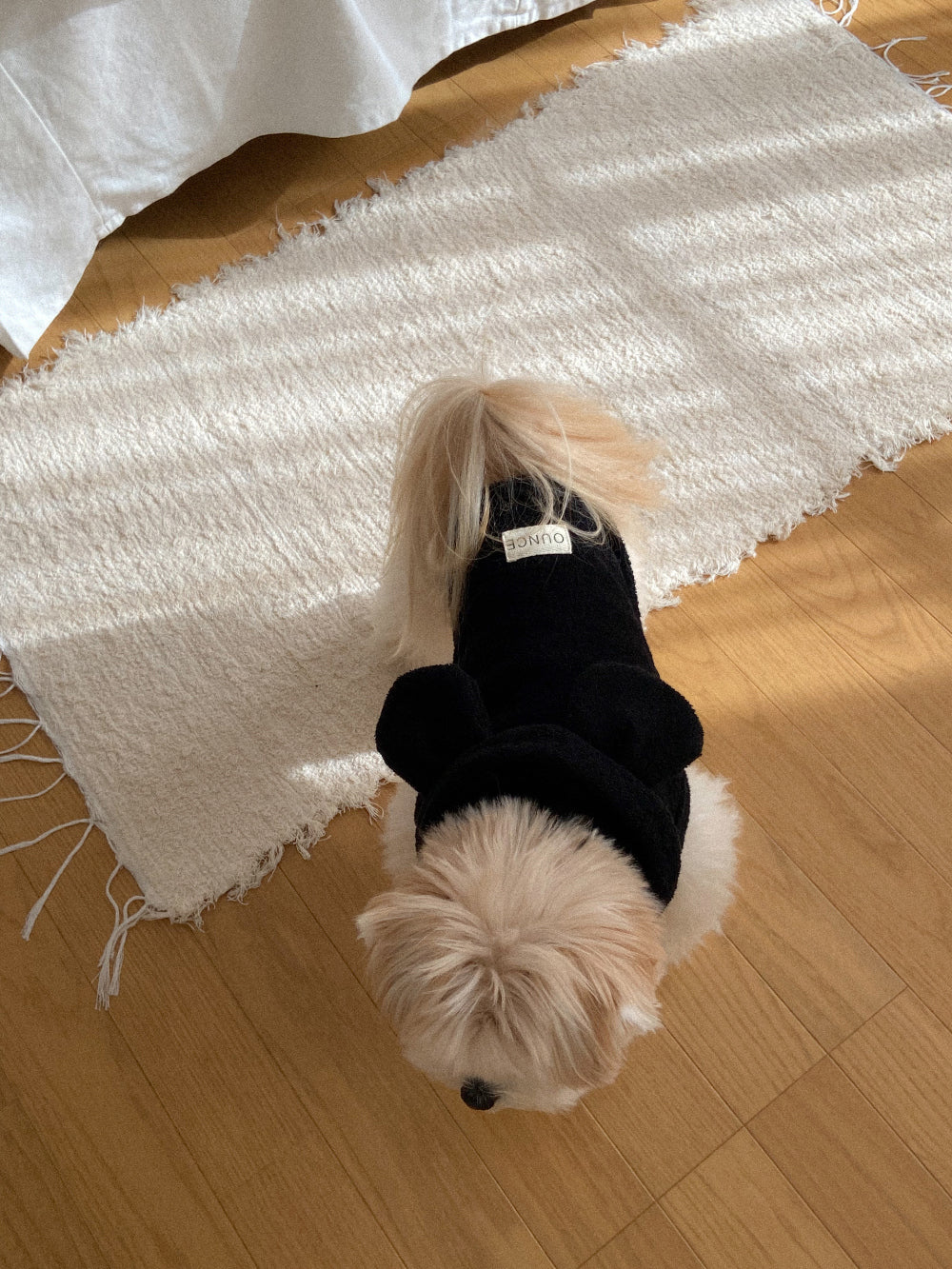 【予約】Terry bear vest & hat