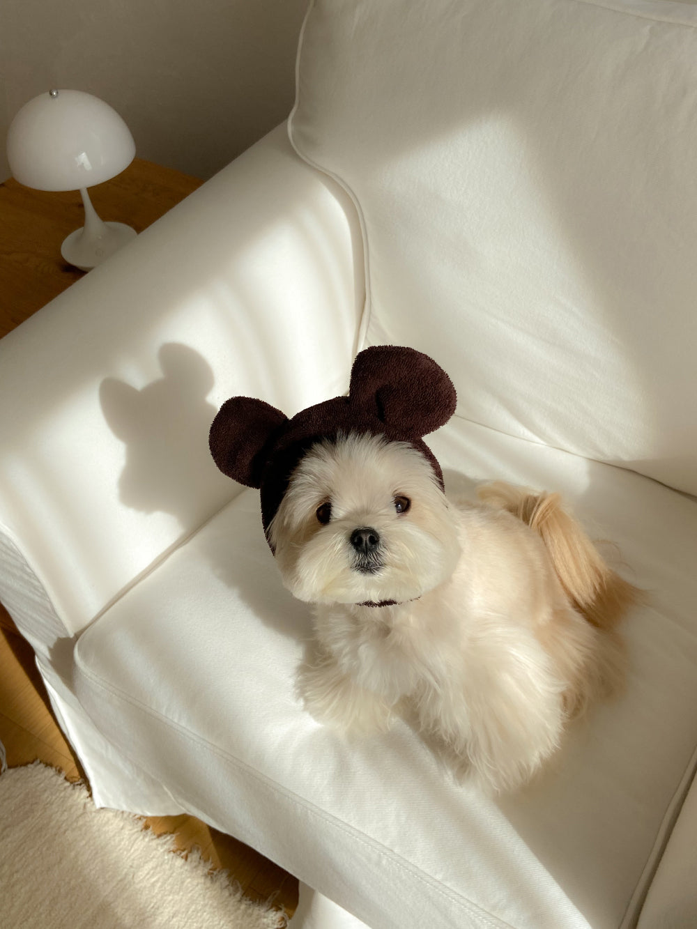 【予約】Terry bear vest & hat