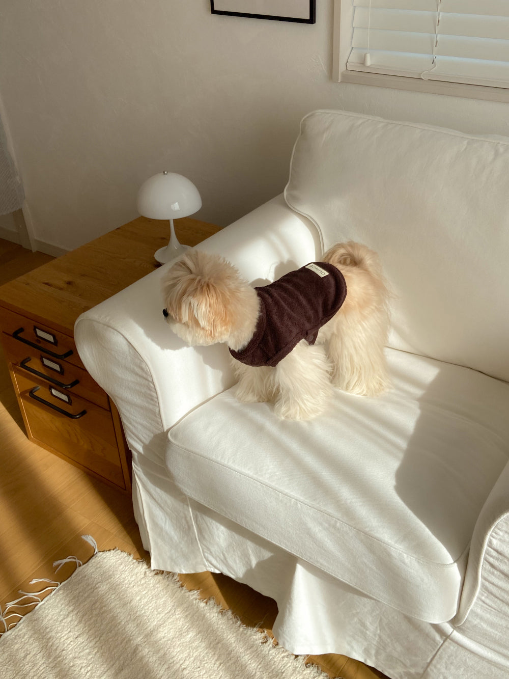 【予約】Terry bear vest & hat