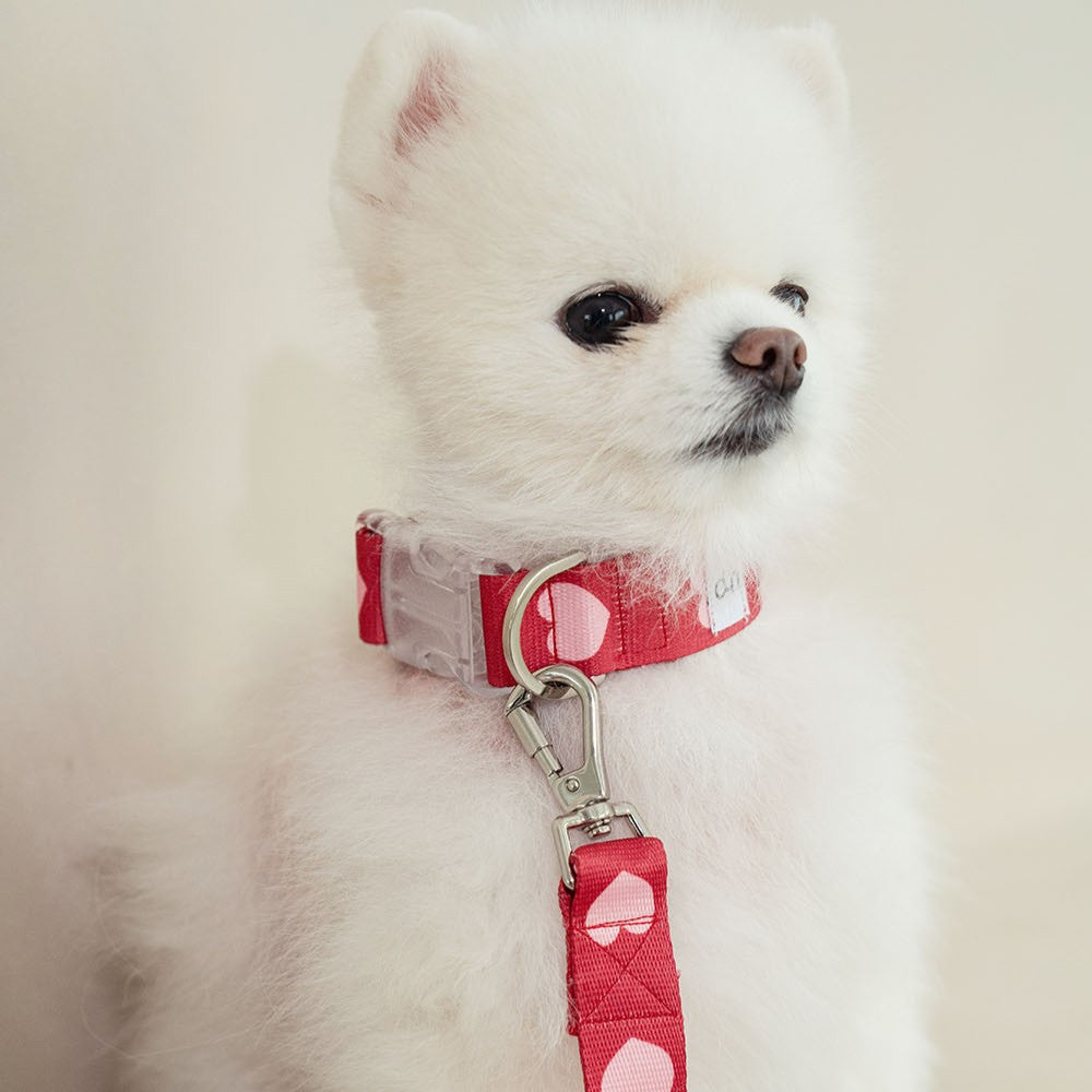 【一部即納】heart bongbong collar