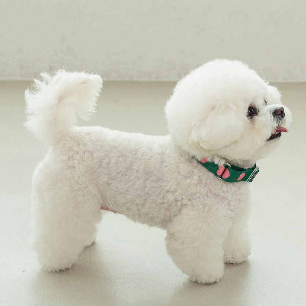 【一部即納】heart bongbong collar