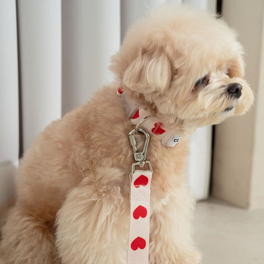 【一部即納】heart bongbong collar