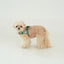 【即納】heart bongbong harness