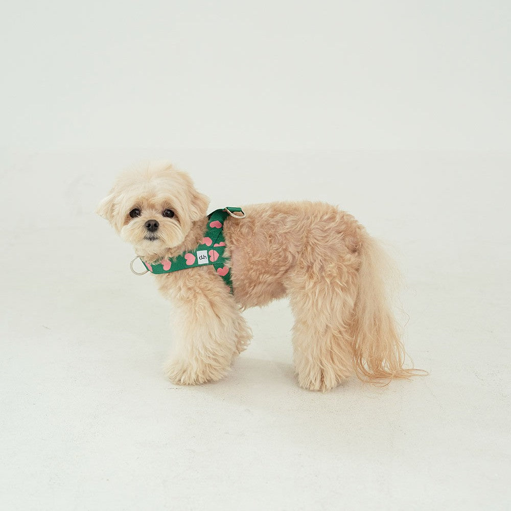 【即納】heart bongbong harness