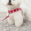 【即納】heart bongbong harness