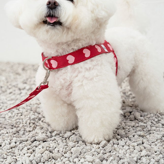 【即納】heart bongbong harness