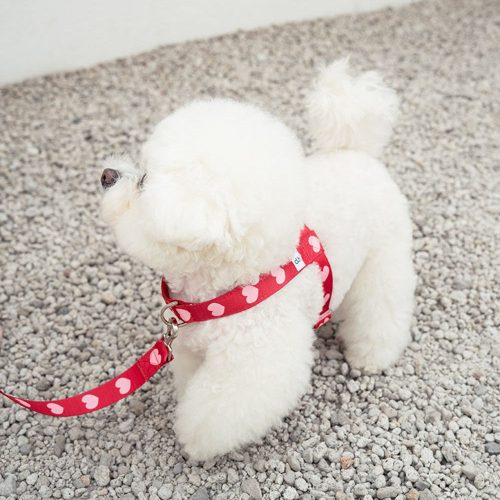 【即納】heart bongbong harness