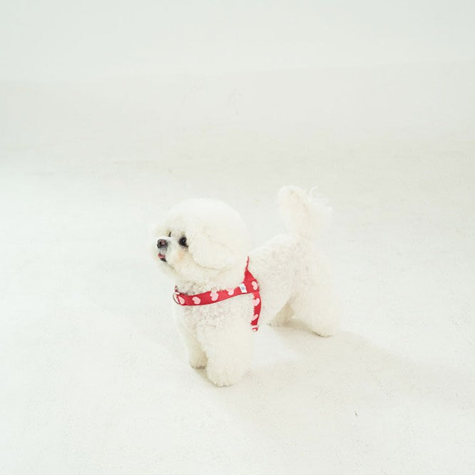 【即納】heart bongbong harness