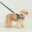 【即納】heart bongbong harness
