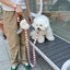 【即納】heart bongbong leash