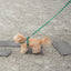 【即納】heart bongbong harness
