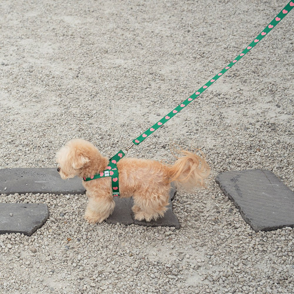 【即納】heart bongbong harness