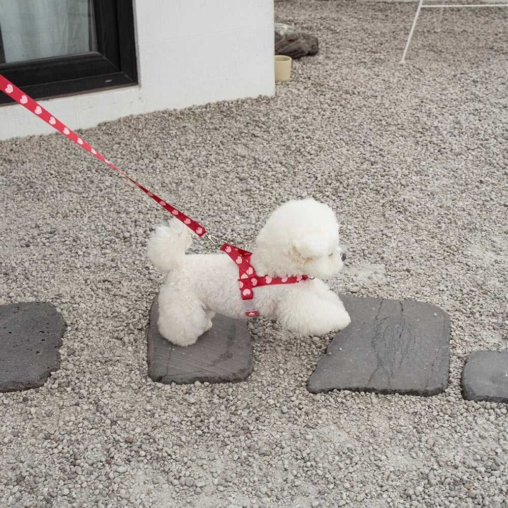 【即納】heart bongbong harness