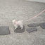 【即納】heart bongbong harness